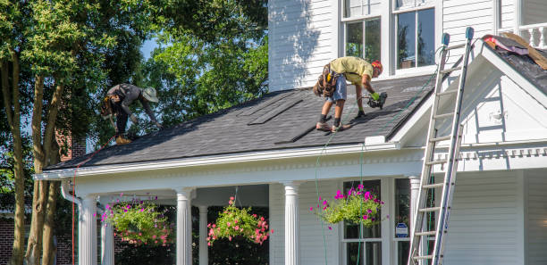 Best Roof Ventilation Installation  in Ladd, IL